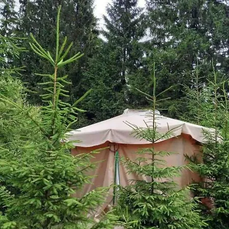 Eco Glamping - Carpathians. Retreat Hub Dzin Space *