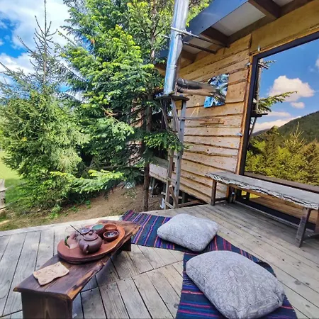 Eco Glamping - Carpathians. Retreat Hub Dzin Space Verkhovyna
