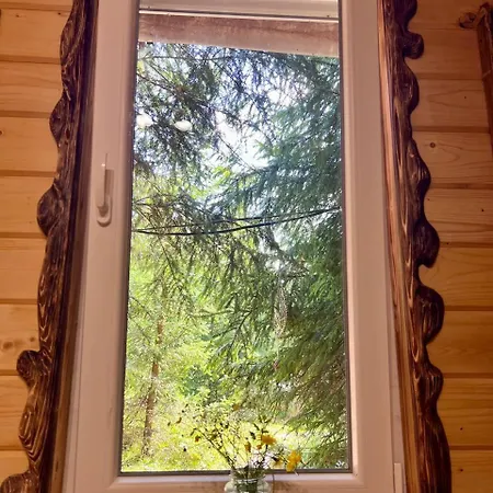 Eco Glamping - Carpathians. Retreat Hub Dzin Space * Verchovyna