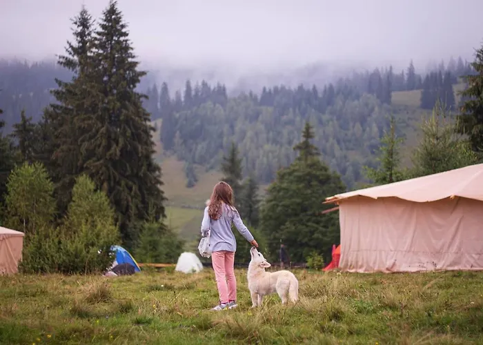 豪华帐篷 Eco Glamping - Carpathians. Retreat Hub Dzin Space