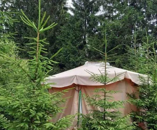 Eco Glamping - Carpathians. Retreat Hub Dzin Space *