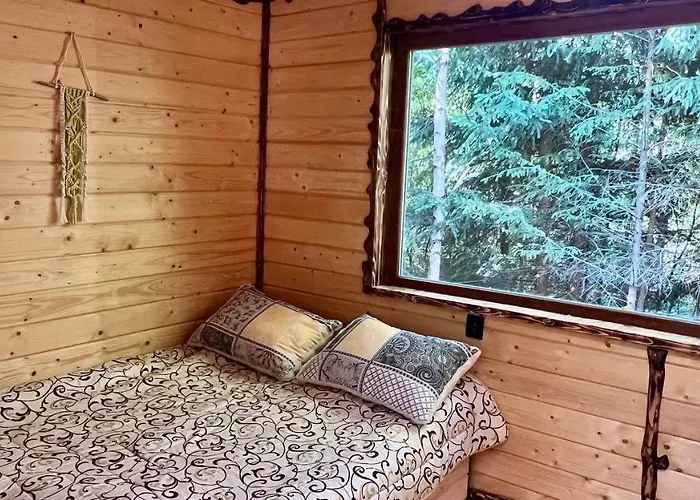 Eco Glamping - Carpathians. Retreat Hub Dzin Space 豪华帐篷 *
