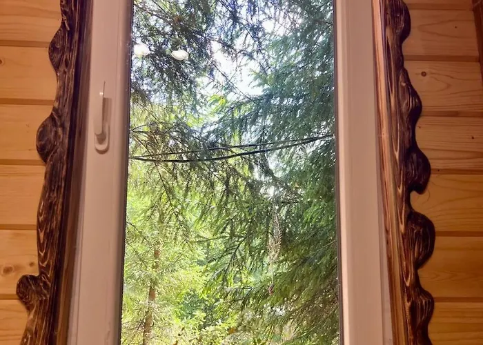 Eco Glamping - Carpathians. Retreat Hub Dzin Space * 韦尔霍维纳
